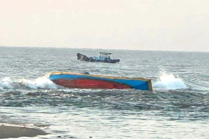 Chim tau o Lam Dong, mot ngu dan tu vong hinh anh