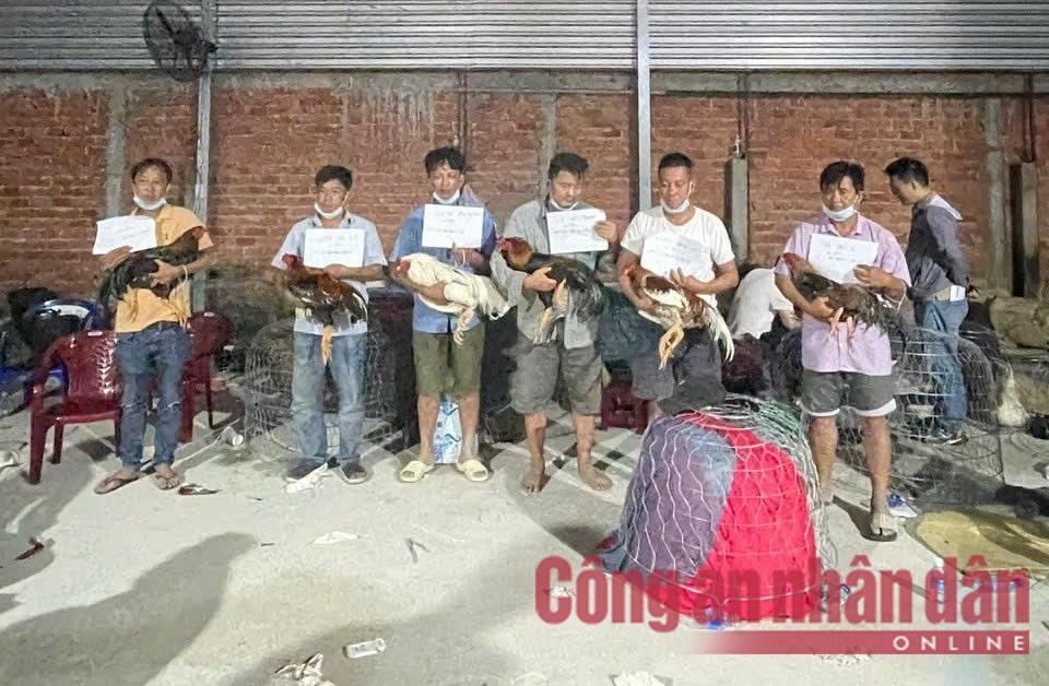 pha o bac,  tam giu 59 nguoi anh 6