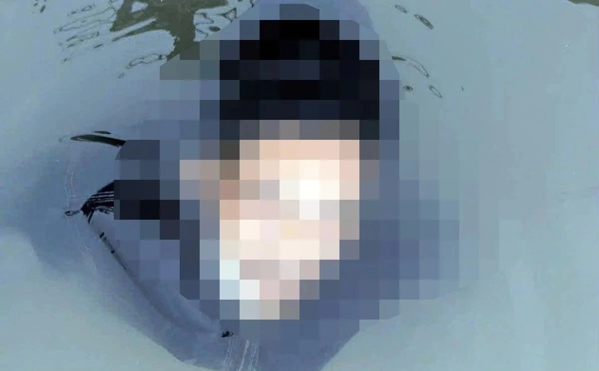 Phat hien thi the nguoi dan ong noi tren song Hong hinh anh