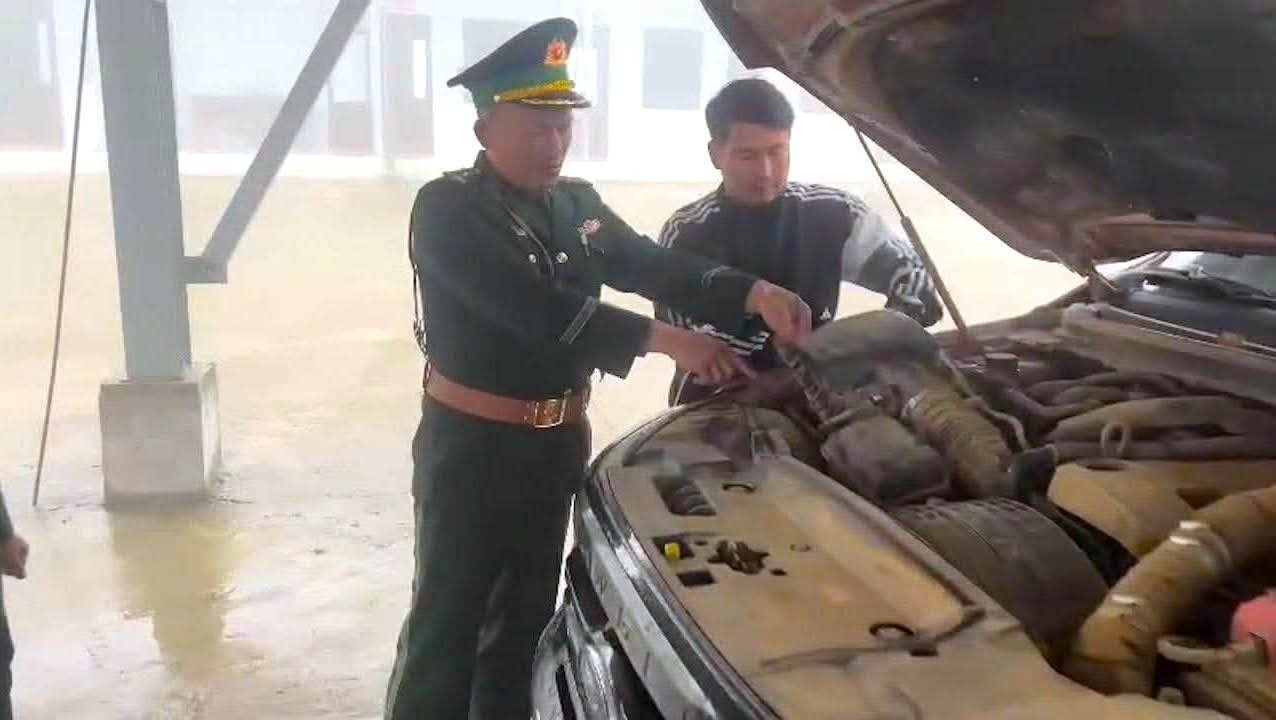 Giau 7 cay vang anh 1