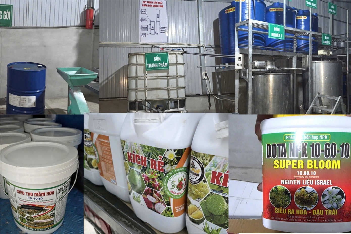 Ba Con Su Tu,  Phan bon gia,  Nhap lau,  tron thue,  Cong ty Viet Doan,  Doanh nghiep Viet Doan,  Giam doc Viet Doan anh 1