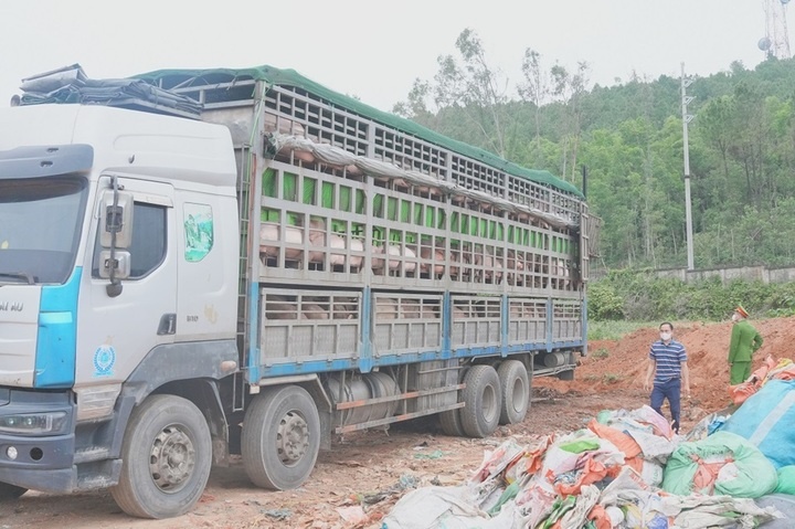 nhiem dich ta lon,  chau Phi anh 3