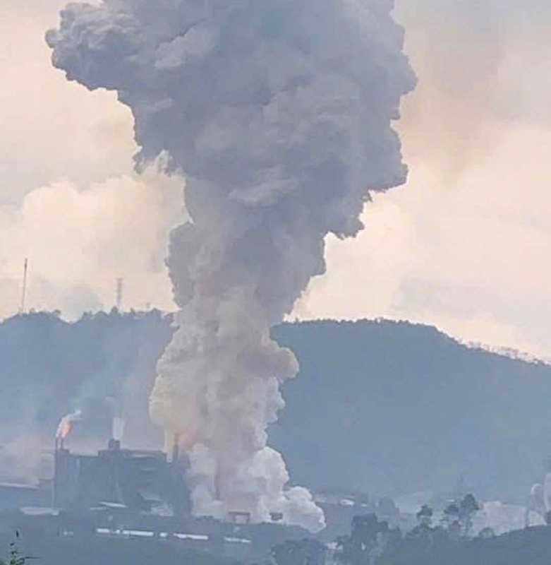 Phot Pho Vang VN,  Cty Phot Pho Vang,  DN Phot Pho Vang,  Gdoc Phot Pho Vang anh 1