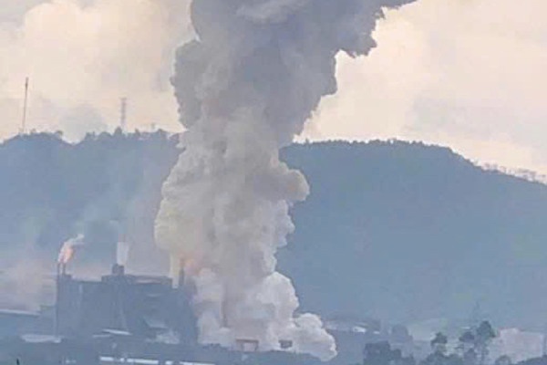 Khan truong dieu tra, lam ro vu no tai Cong ty Phot Pho Vang Viet Nam hinh anh