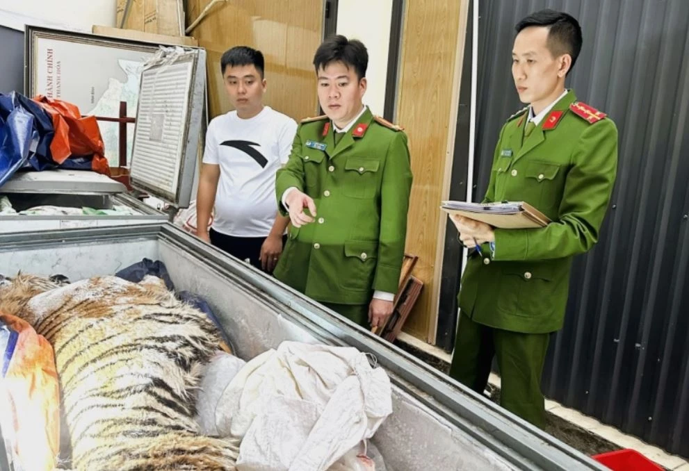 Mua ho ve nau cao, hai doi tuong o Thanh Hoa bi khoi to hinh anh