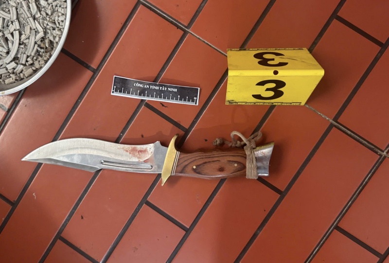 Truy bat nhanh thu pham sat hai nguoi trong dem giao thua hinh anh