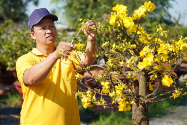 Thoi tiet ngay mung 5 Tet: Mien Nam co noi nong hon 35°C hinh anh