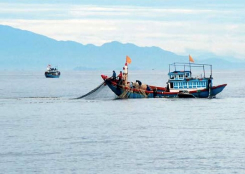 Ngu phu,  Danh dong nghiep,  Roi xuong bien anh 1