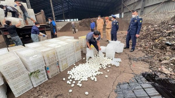 Gan 29.000 qua trung vit lon bi tieu huy trong dip Tet hinh anh