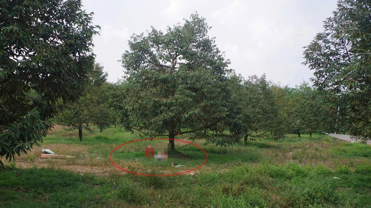 Sung hoi Dong Nai anh 1