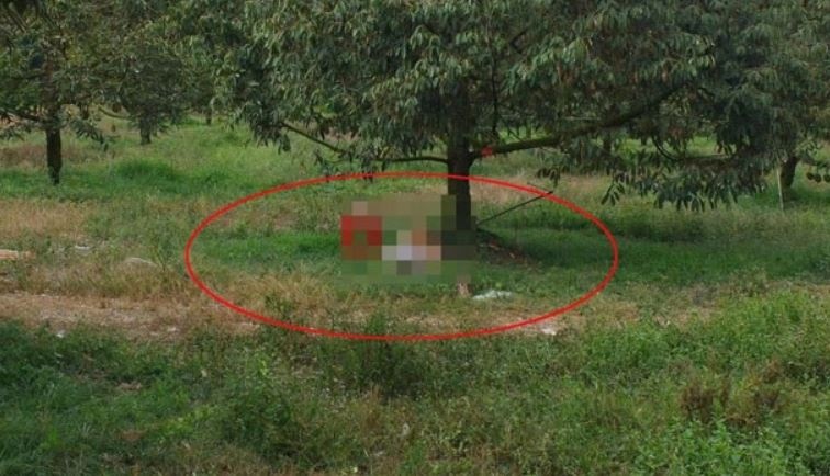 Nguoi dan ong o Dong Nai tu vong duoi goc cay, ben canh co sung hoi hinh anh