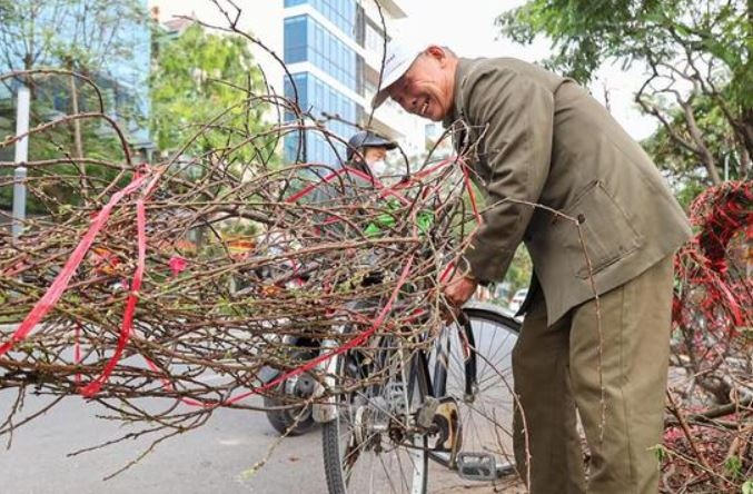 Du bao thoi tiet 29 Tet hinh anh