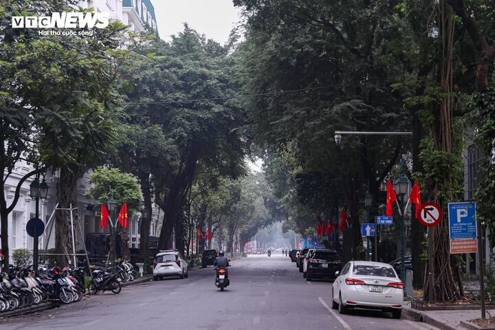 Mùng 1 Tết ảnh 15 Mung 1 Tet anh 15