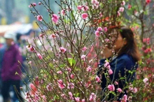 Thoi tiet tu mung 2 den mung 6 Tet Binh Ngo hinh anh