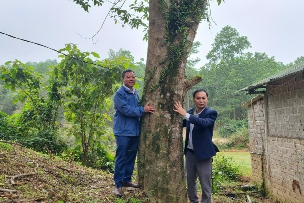 'Tram to' tien ty giua mien son cuoc hinh anh