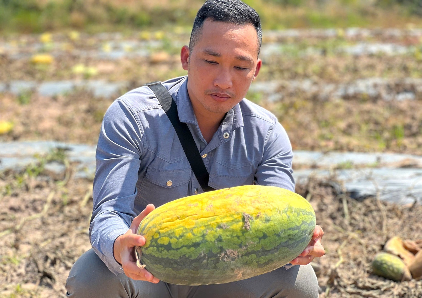 Ruong dua hau anh 16