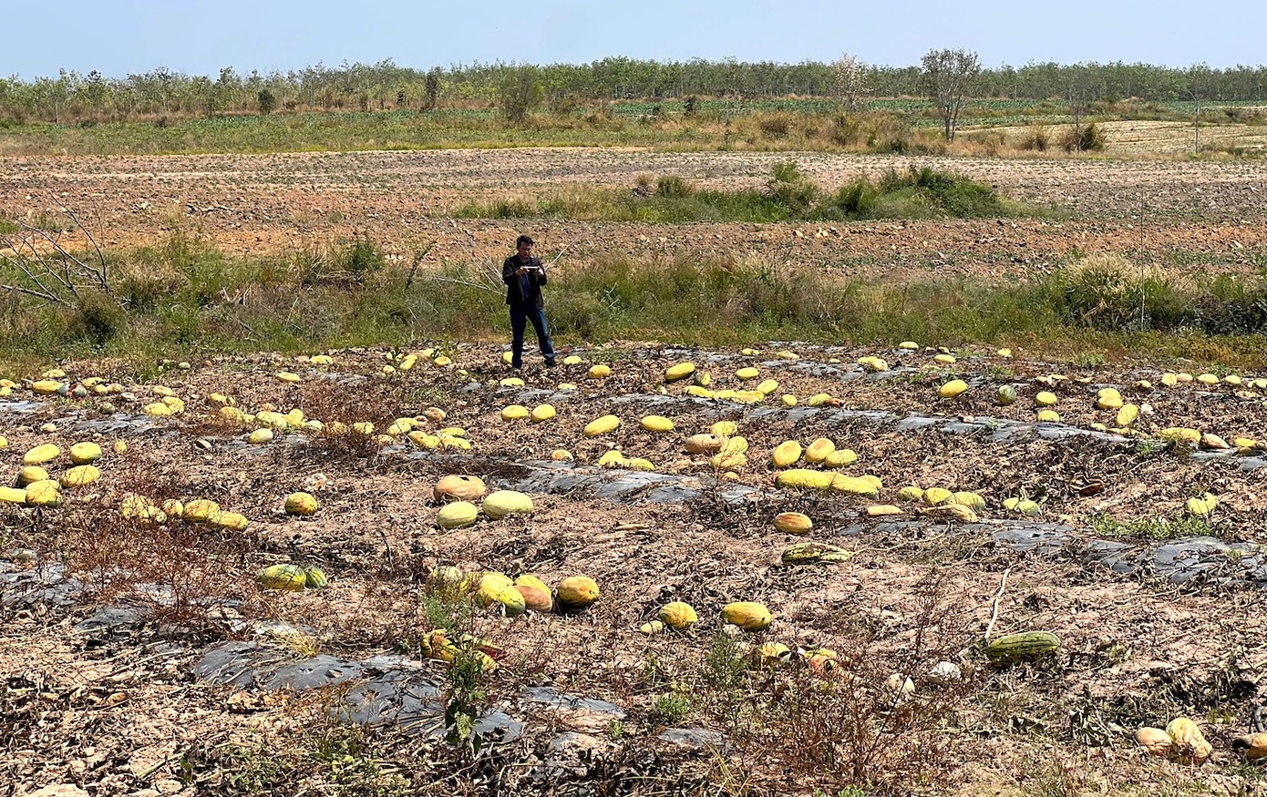 Ruong dua hau anh 17