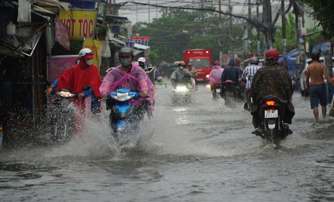 Nam Bo sap don mua trai mua hinh anh