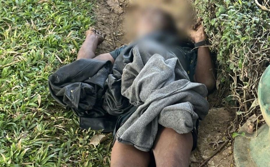 Phat hien thi the nam gioi tai Cong vien Giot Nuoc hinh anh