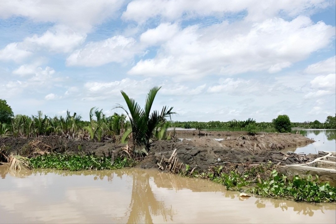 Danh tinh hai nguoi dan ong chiem gan 29 ha dat cong hinh anh