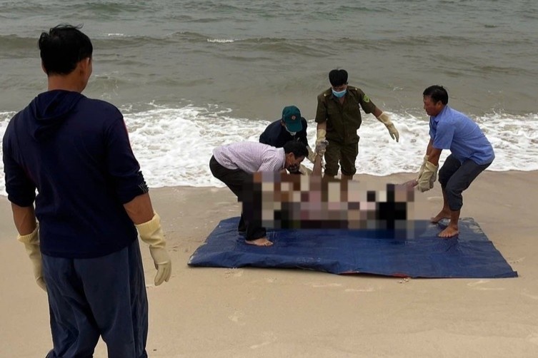 Tim thay thi the du khach mat tich o bai bien Nhat Le hinh anh