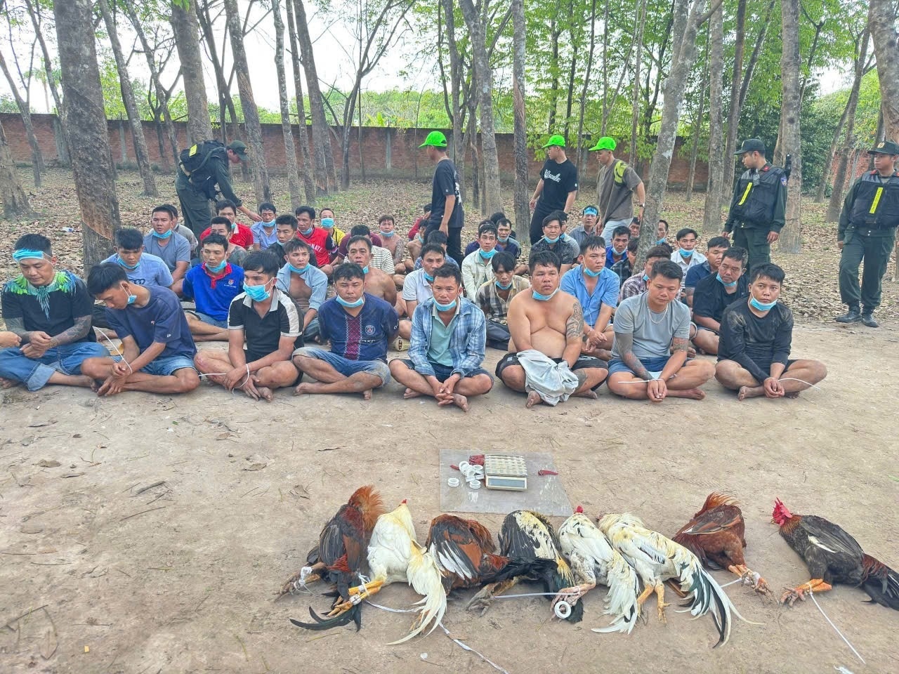 Hon 100 canh sat bao vay, triet xoa soi bac, da ga quy mo lon o TP.HCM hinh anh