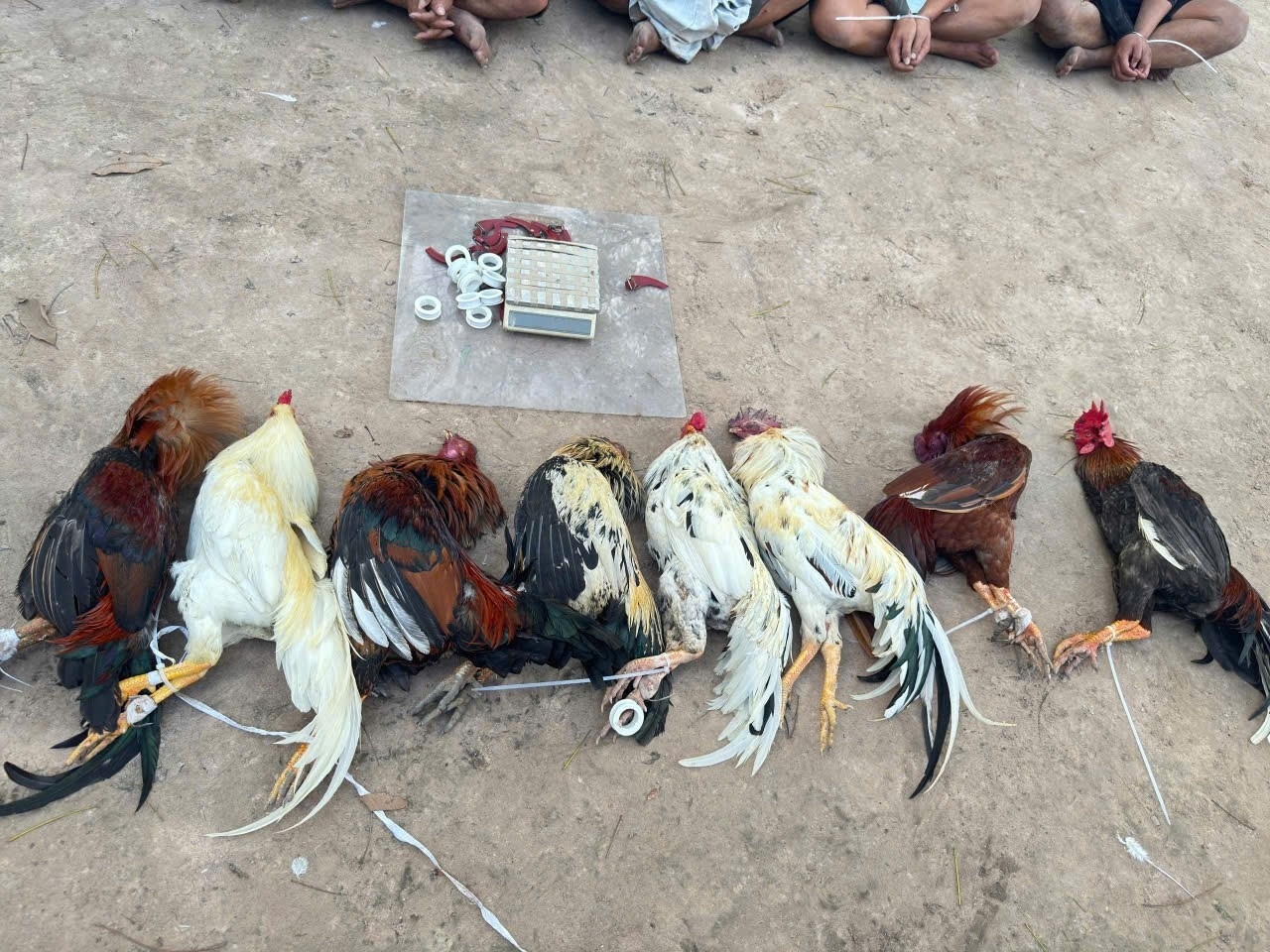 Video toan canh cong an TP.HCM triet pha hai vu danh bac. hinh anh