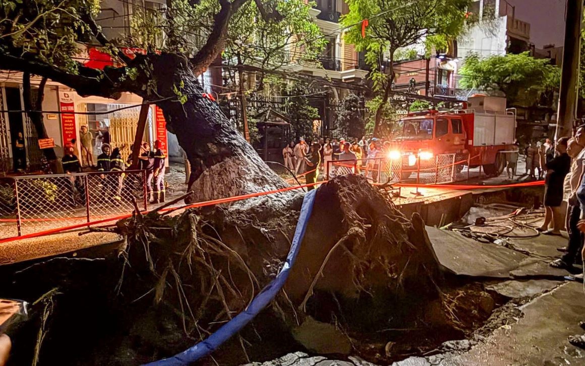 Cay lon bat goc do ngang duong, nhieu ho dan mat dien hinh anh