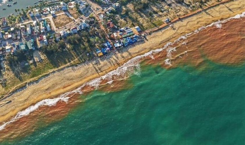 Nguyen nhan xuat hien vet nuoc nau do ky la o bien Gia Lai hinh anh