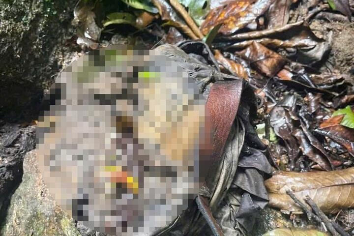 Phat hien bo xuong nguoi o bia rung hinh anh