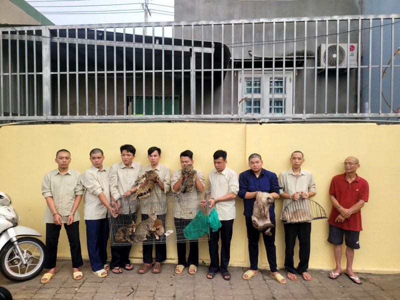 Nhom doi dem,  San trom meo anh 2