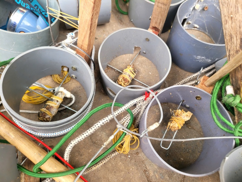 Nhom doi dem,  San trom meo anh 4