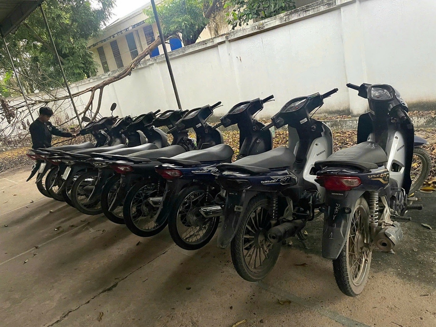 Sa luoi,  truoc gio thao chay anh 3