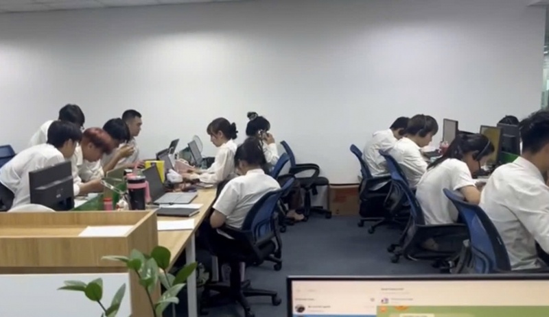 Mr Pips,  Shark Binh,  Rua tien,  Lua dao anh 2