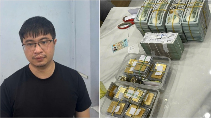 Mr Pips,  Nguyen Hoa Binh,  Shark Binh,  Lua dao,  Rua tien anh 3