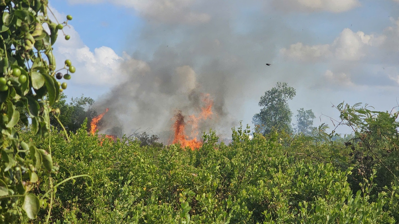 Dot co gay chay lon o Can Tho hinh anh