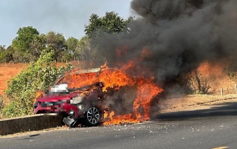 Oto 5 cho chay du doi tren duong ven bien hinh anh