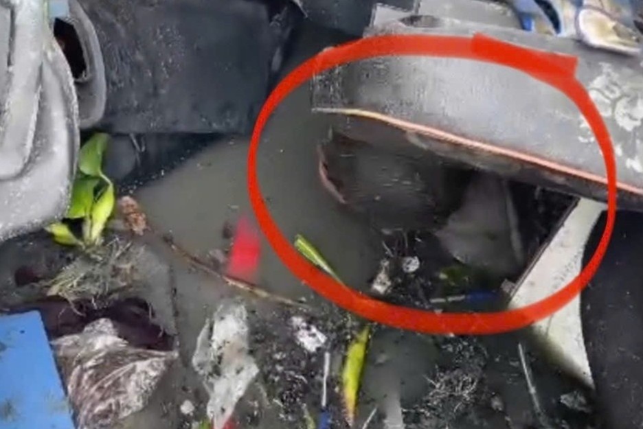 Tai xe ket trong xe tron be tong lat duoi ao hinh anh