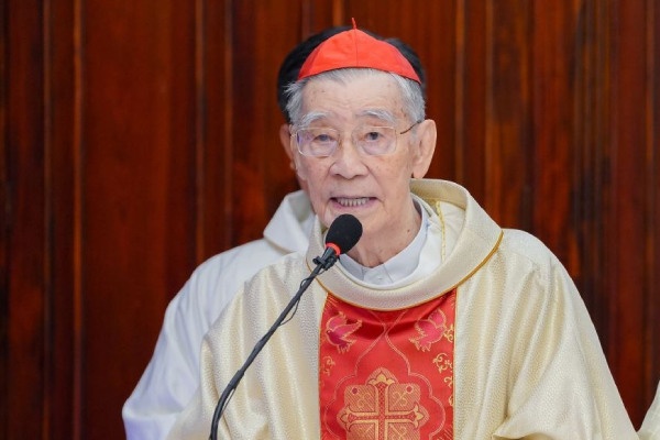 Duc Hong y Pham Minh Man qua doi hinh anh