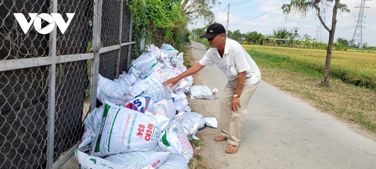 Trai ga Dong Thap anh 5