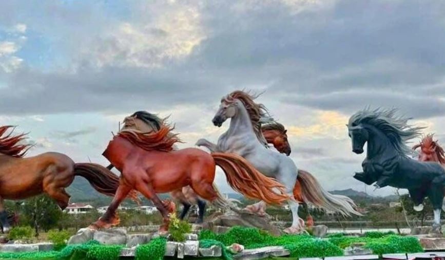 'Hoi sinh' 8 linh vat ngua o xa bien gioi bi pha mat dau hinh anh