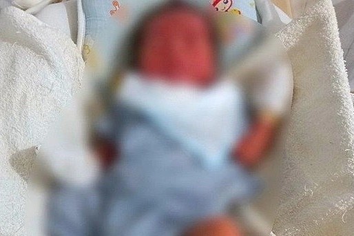 Loi nhan ben canh be trai so sinh bi bo roi tai Nghe An hinh anh