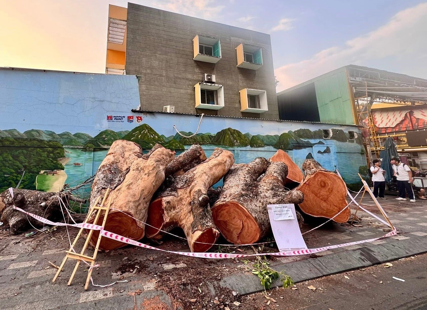 Truong hoc o TP.HCM ban dau gia mot cay xa cu, khoi diem hon 80 trieu hinh anh