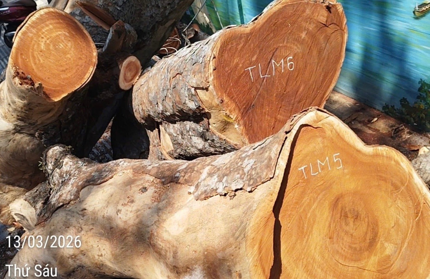 Trường Ten Lơ Man ảnh 3 Truong Ten Lo Man anh 3