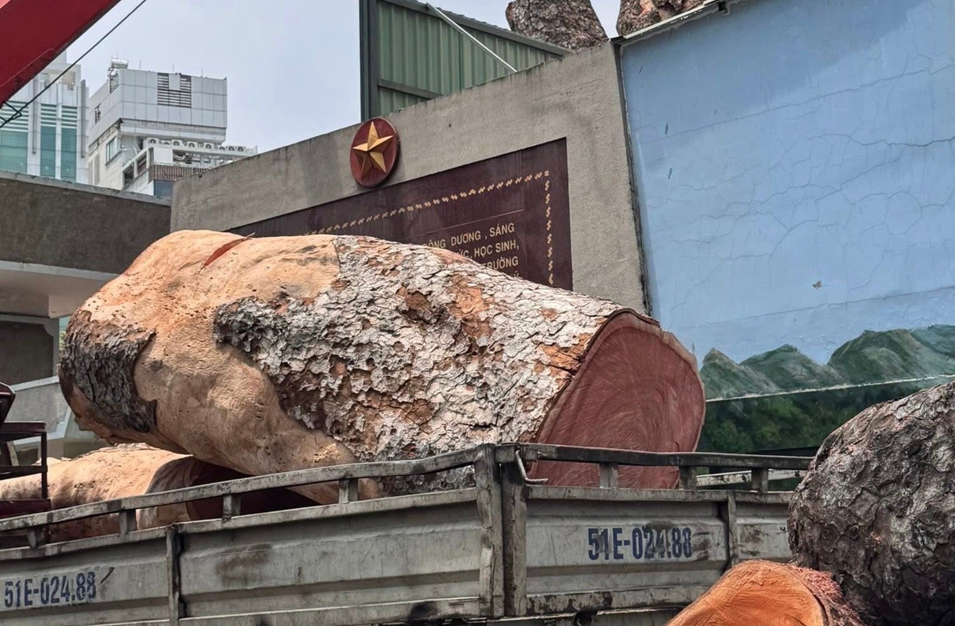 Trường Ten Lơ Man ảnh 4 Truong Ten Lo Man anh 4