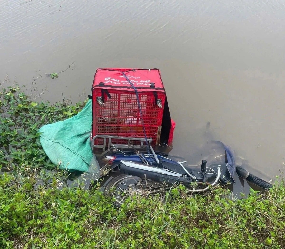 Thi the shipper anh 1