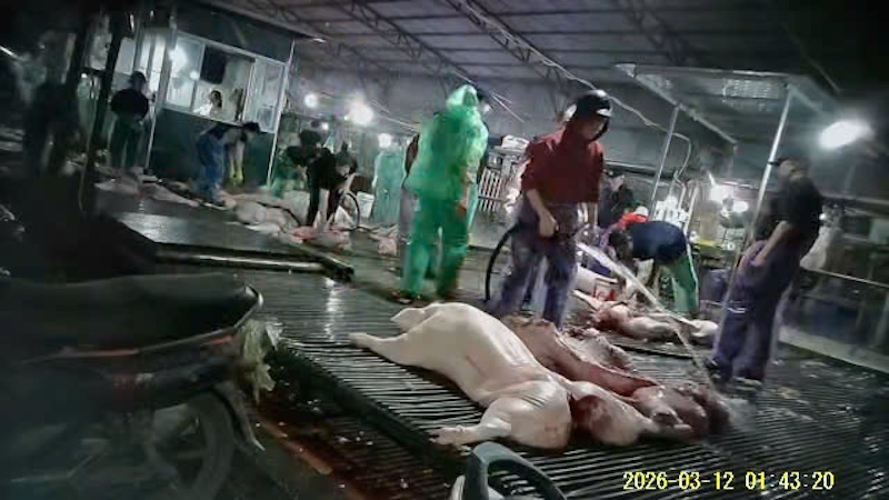 Vu 300 tan thit,  Thuc pham Cuong Phat,  Cong ty Cuong Phat,  Doanh nghiep Cuong Phat,  Giam doc Cuong Phat,  logictics Thinh An,  Cong ty Thinh An,  Cty logictics Thinh An,  DN logictics Thinh An,  Gdoc logictics Thinh An anh 5