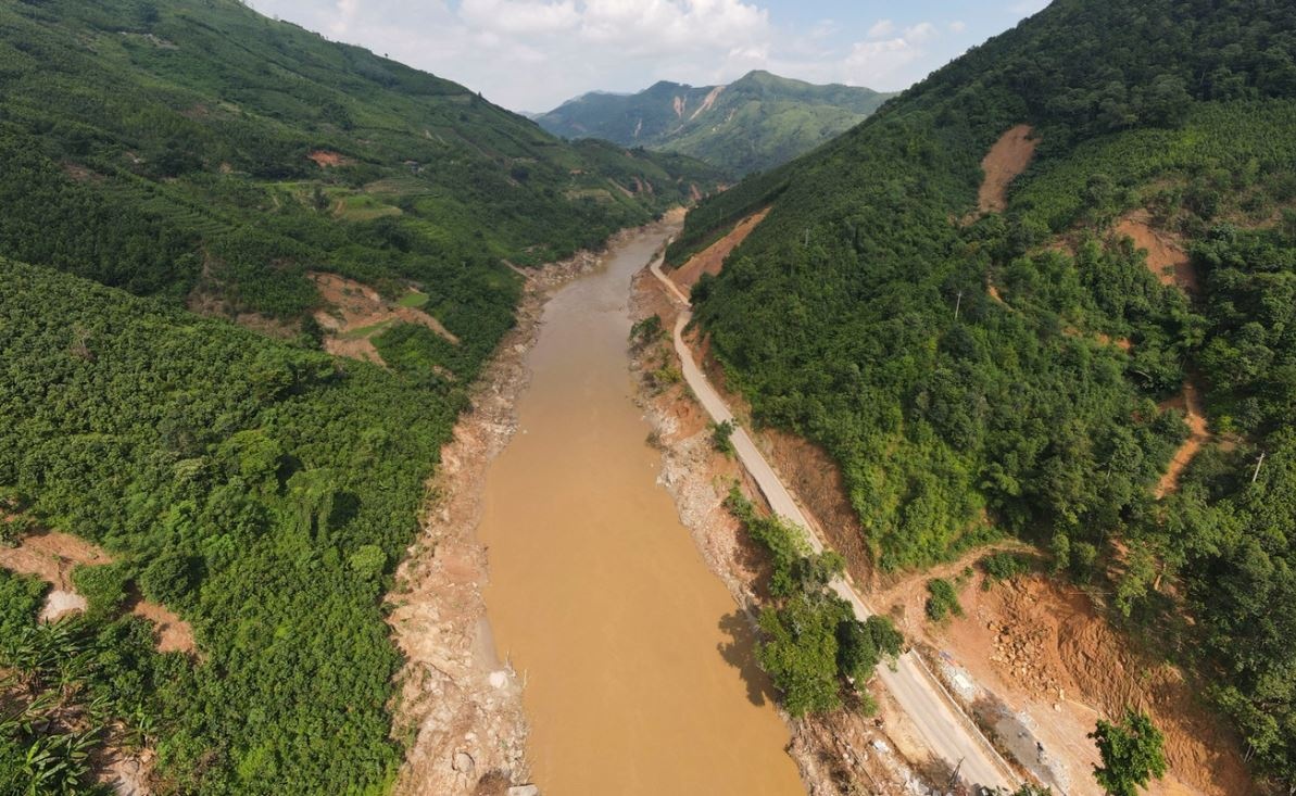 Viet Nam nhan gan 1.900 ty dong de phat trien rung mien Bac hinh anh