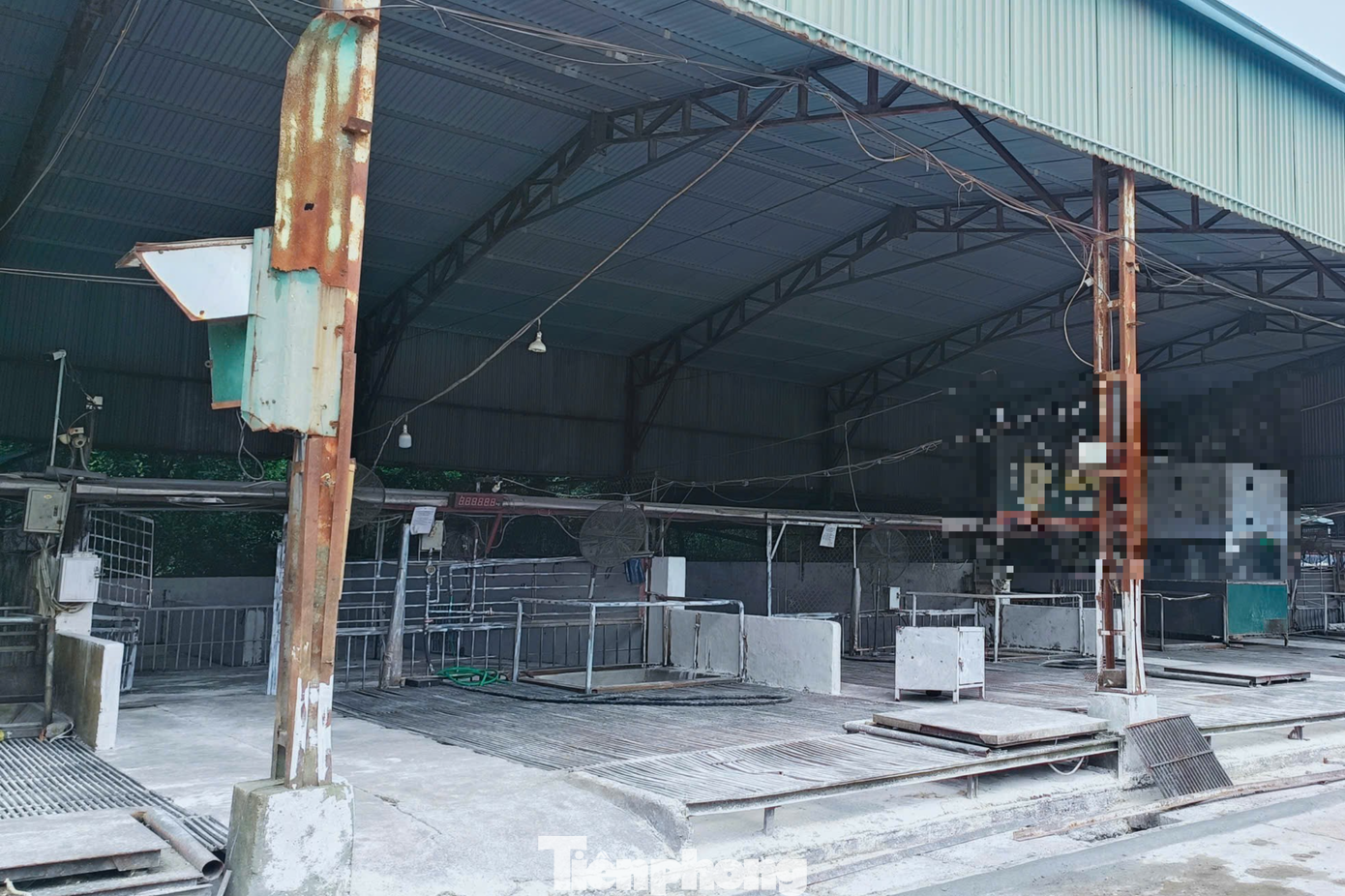 300 tan lon benh,  Cong ty Cuong Phat,  Doanh nghiep Cuong Phat,  Giam doc Cuong Phat anh 2