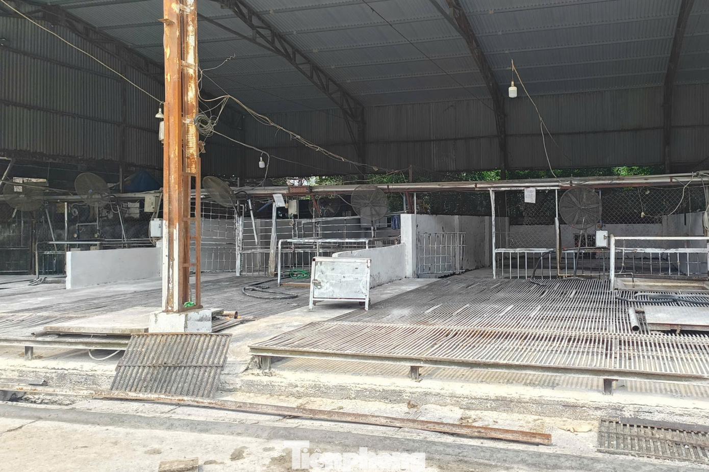 Cong ty Cuong Phat,  Doanh nghiep Cuong Phat,  Giam doc Cuong Phat,  Ke toan Cuong Phat,  Lon bi benh anh 3